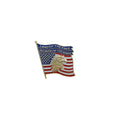 Pack of 10 / USA American Flag Eagle Lapel Pin