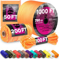 1000 ft / Apricot
