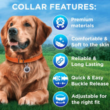 TECEUM Reflective Dog Collar – Hot Pink – M – Extra Soft Padding – Basic Nylon Pet Collar – Quick Release Buckle – Fits Small, Medium and Large Dogs, Puppies, Cats – ESA & Service Dog Options