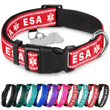 TECEUM Reflective Dog Collar – Hot Pink – M – Extra Soft Padding – Basic Nylon Pet Collar – Quick Release Buckle – Fits Small, Medium and Large Dogs, Puppies, Cats – ESA & Service Dog Options