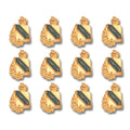 Computer, 12 Pack