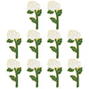 White Rose, Pack of 10