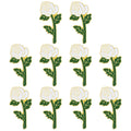 White Rose, Pack of 10