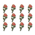 Red Rose, Pack of 12