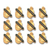 Achievement, 12 Pack