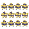 Star Performer Ribbon, 12 Pack