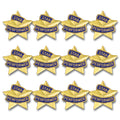 Star Performer Ribbon, 12 Pack