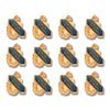 Social Studies, 12 Pack