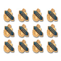 Social Studies, 12 Pack