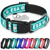 X-Large / Teal - ESA