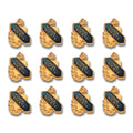 Honer Society, 12 Pack