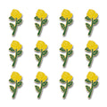 Yellow Rose, Pack of 12