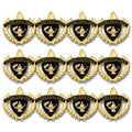 Coding Excellence, 12 PK