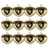 STEM Achievement, 12 PK