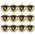 STEM Achievement, 12 PK
