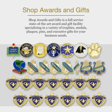 SHOP AWARDS AND GIFTS Star Performer Lapel Pins for Students, Appreciation, Reward, School, Employee Recognition, Bulk Pack of 12, Poly Bagged, 3/4 Inch