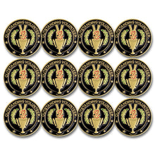 SHOP AWARDS AND GIFTS 7/8 Inch Outstanding Volunteer Lapel Pin