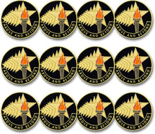 SHOP AWARDS AND GIFTS Student, Volunteer, Employee, Award Lapel Pins Appreciation Reward, 1 Inch Above and Beyond, Pack of 12