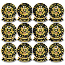 SHOP AWARDS AND GIFTS United States US Veteran Lapel Pin, Retirement and Service, 1-1/8 inch