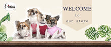 Customized PU Leather Nameplate Dog Collar Soft Padded Dogs Collars Free Engraving Name for Small Medium Large Dogs Adjustable