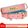 Pink / XS weight3- 4.5kg