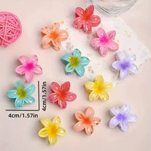 6 件套 Gradient Hair Clips New Flower Hair Claws Small Size Fashion