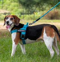 Personalized Dog Harness Reflective Adjustable Dog Harness Vest For small Medium large Dog Harness Vest Training Walking Running