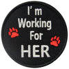 Pet Service Dog -5 20