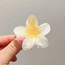 6 件套 Gradient Hair Clips New Flower Hair Claws Small Size Fashion