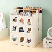 500pcs Cartoon Meme Cat Stickers For School Reward Stickers Classroom