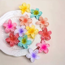 6 件套 Gradient Hair Clips New Flower Hair Claws Small Size Fashion