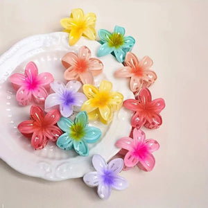 6 件套 Gradient Hair Clips New Flower Hair Claws Small Size Fashion