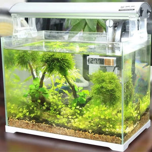 Aquarium Thermometer Electronic LCD Digital Fish Tank Temperature