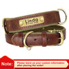 Coffee / XS weight3- 4.5kg