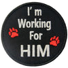 Pet Service Dog -5 2