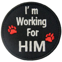 Pet Service Dog In Training SECURITY PATCH BADGES Therapy Dog PET DO NOT EMOTIONAL SUPPORT Patches for DOG PET Harness Vest