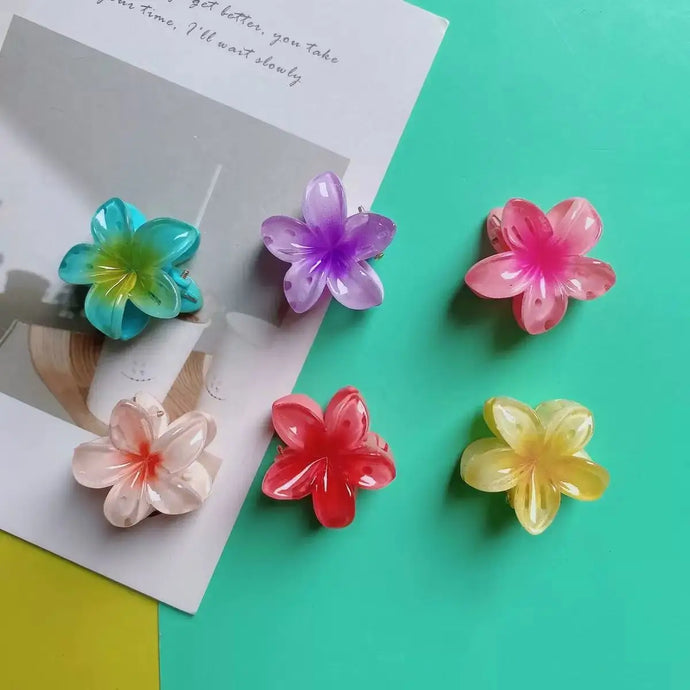 6 件套 Gradient Hair Clips New Flower Hair Claws Small Size Fashion