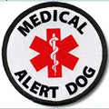 Pet Service Dog -5 3