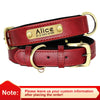 Red / M weight6.5- 10kg