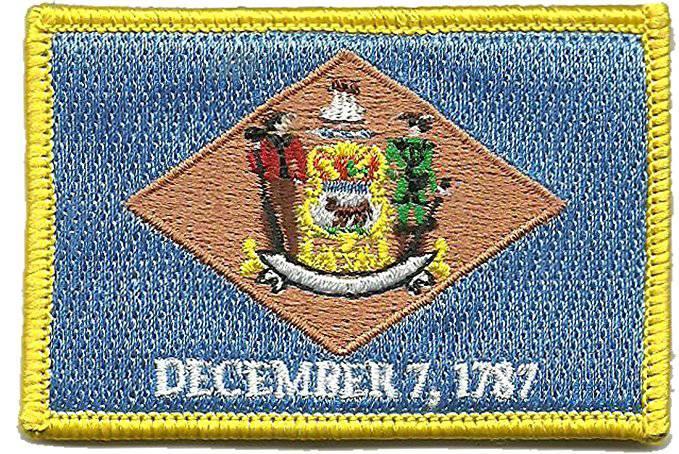 BuckUp Tactical Morale Patch Hook Delaware Dover State Patches 3x2