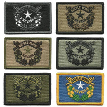 BuckUp Tactical Morale Patch Hook Nevada Carson City State Patches 3x2" - BuckUp Tactical