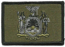 BuckUp Tactical Morale Patch Hook New York Albany State Patches 3x2" - BuckUp Tactical