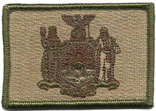 BuckUp Tactical Morale Patch Hook New York Albany State Patches 3x2" - BuckUp Tactical
