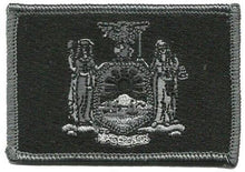 BuckUp Tactical Morale Patch Hook New York Albany State Patches 3x2" - BuckUp Tactical