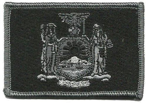 BuckUp Tactical Morale Patch Hook New York Albany State Patches 3x2" - BuckUp Tactical