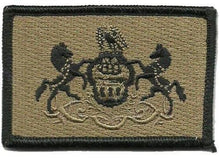 BuckUp Tactical Morale Patch Hook Pennsylvania Harrisburg State Patches 3x2" - BuckUp Tactical