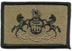 BuckUp Tactical Morale Patch Hook Pennsylvania Harrisburg State Patches 3x2" - BuckUp Tactical
