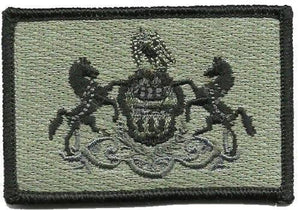 BuckUp Tactical Morale Patch Hook Pennsylvania Harrisburg State Patches 3x2" - BuckUp Tactical
