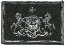 BuckUp Tactical Morale Patch Hook Pennsylvania Harrisburg State Patches 3x2" - BuckUp Tactical