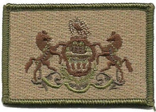 BuckUp Tactical Morale Patch Hook Pennsylvania Harrisburg State Patches 3x2" - BuckUp Tactical